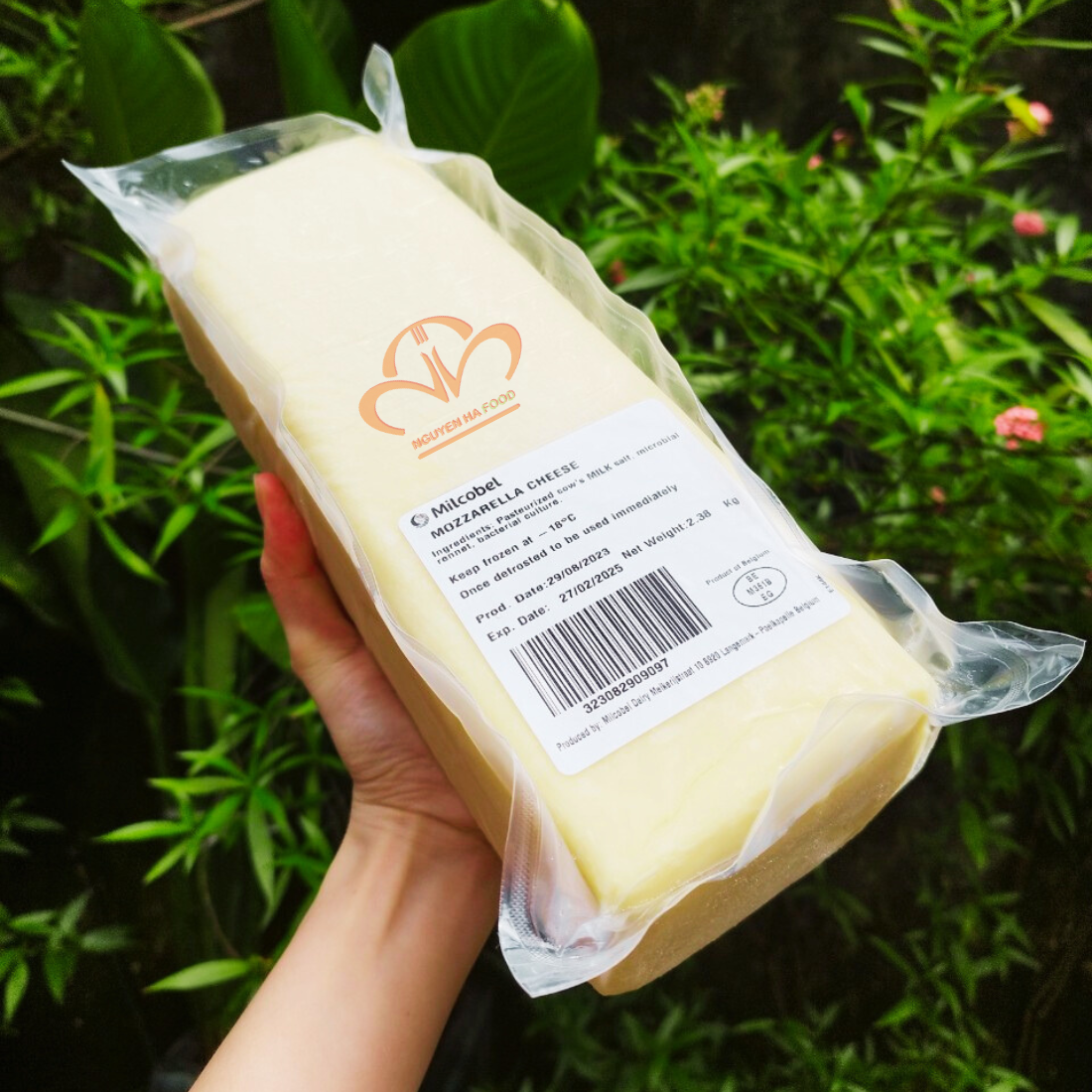 Mực In Tem Thực Phẩm Khô, Đông Lạnh Nhập Khẩu